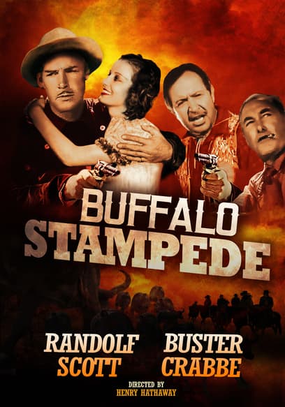 Buffalo Stampede