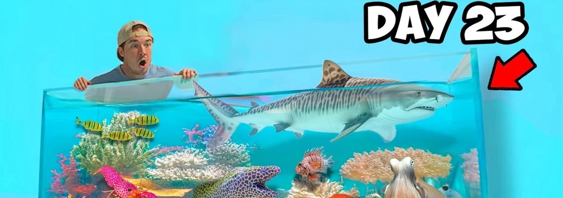 Watch The Fish Guys S03:E08 - Completing My Dream Saltwater Reef Pond ...