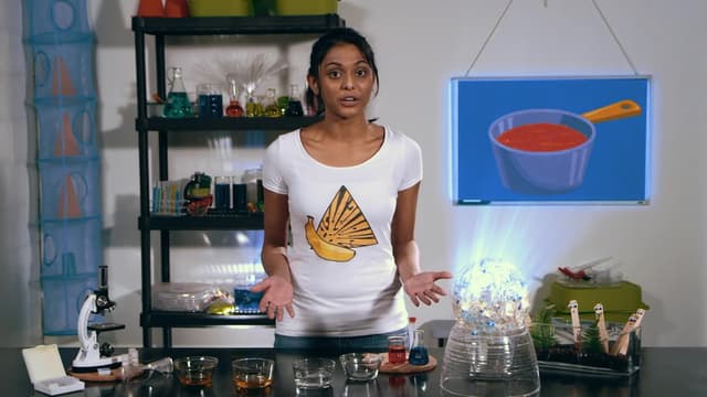 S01:E01 - Tomato Sauce & Pancakes