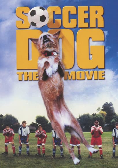 Soccer Dog: The Movie