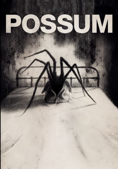 Possum