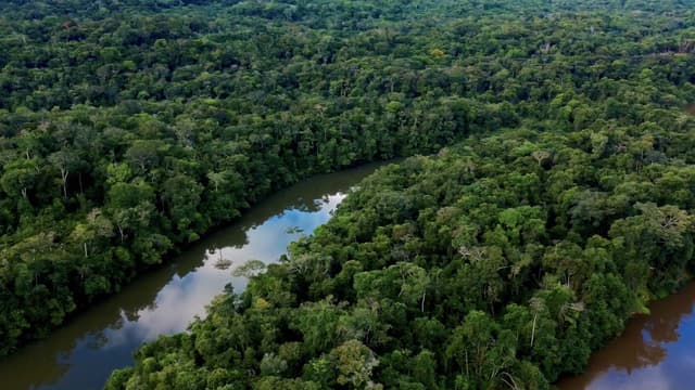 S01:E03 - Return to the Amazon