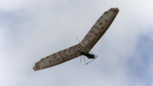 S01:E05 - Flying Kauai