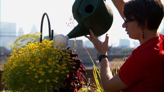 S05:E10 - You Grow Girl