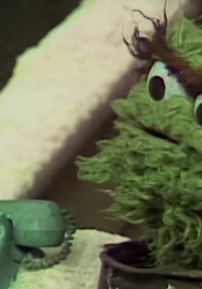S05:E65 - Big Bird Mails a Snowball poster