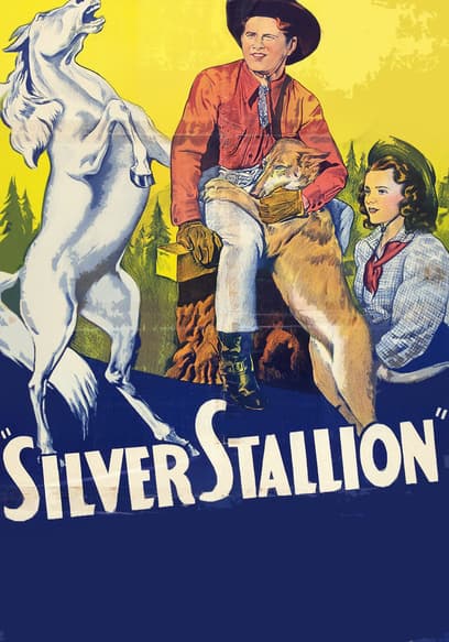 Silver Stallion