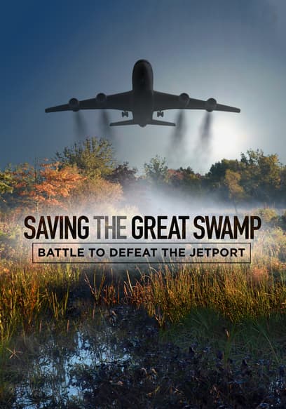 Saving the Great Swamp: Battle to Defeat the Jetport