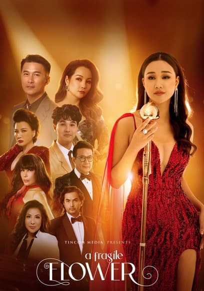 A Fragile Flower