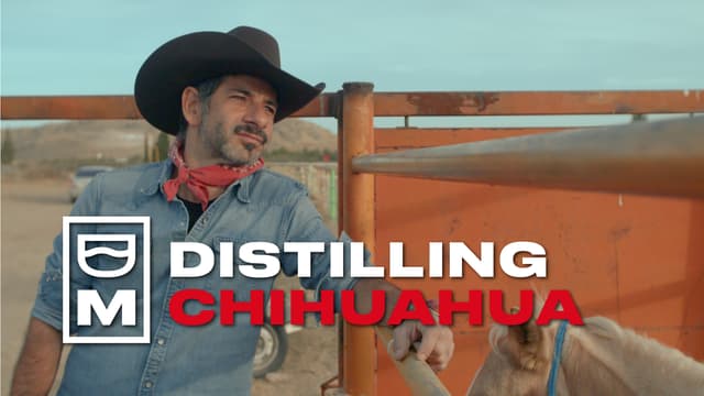S01:E02 - Distilling Chihuahua: Sotol
