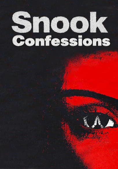 Snook: Confessions poster