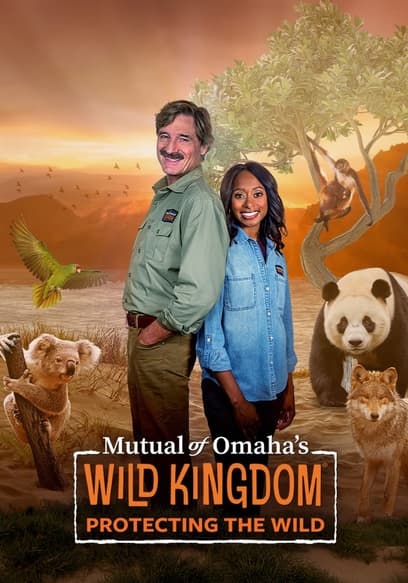 Wild Kingdom: Protecting the Wild poster