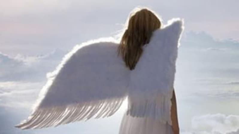 その他 Angels Sent on Assignment [DVD] Watch Angels Sent on Assignment Streaming Online | Tubi Free TV