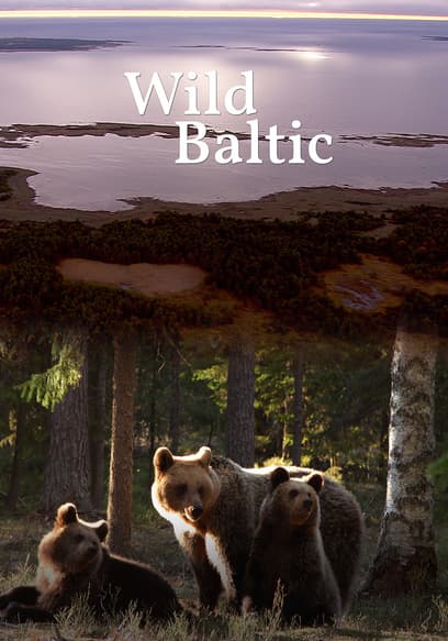 Wild Baltic poster