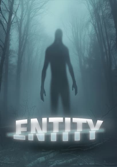 Entity
