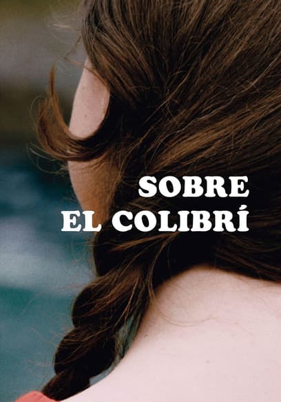 Sobre el colibrí
