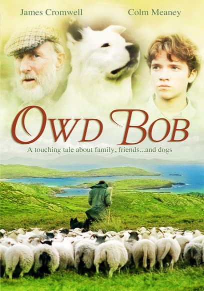 Owd Bob