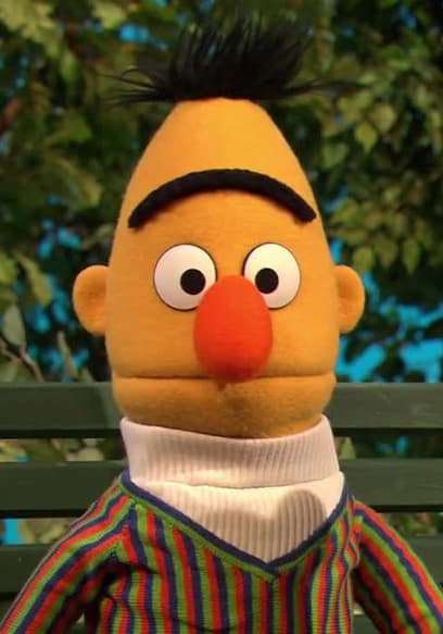 S44:E25 - Lights, Camera, Bert poster
