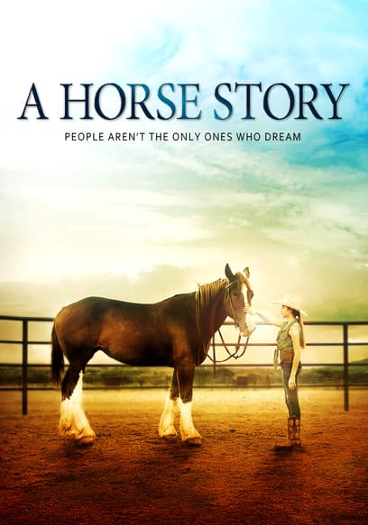 A Horse Story