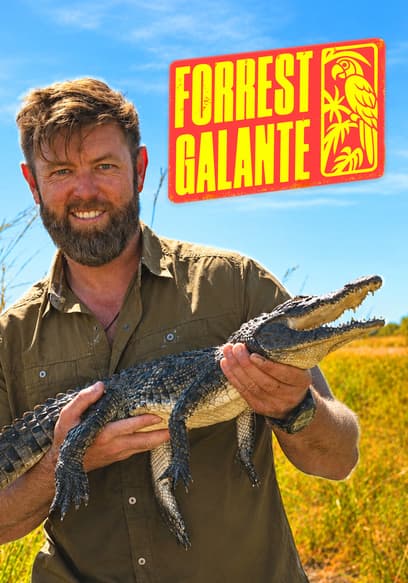 Forrest Galante poster