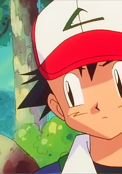 S01:E10 - Bulbasaur and the Hidden Village poster