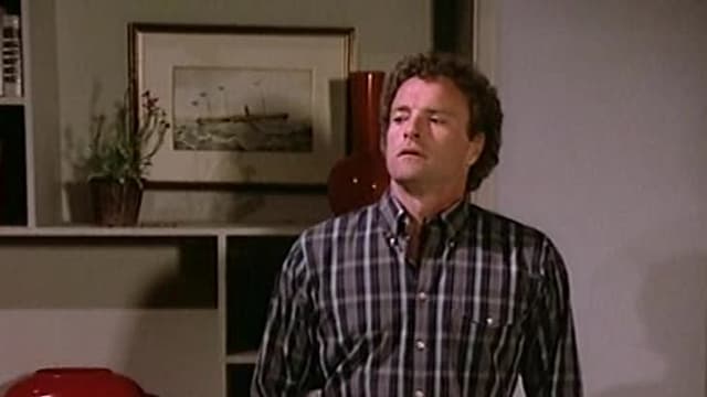 S09:E28 - The Perfect Alibi