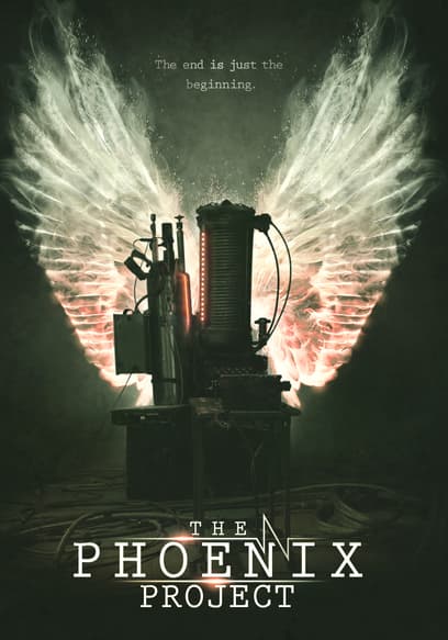 The Phoenix Project