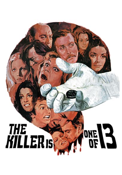 The Killer Is One of 13 (Español)