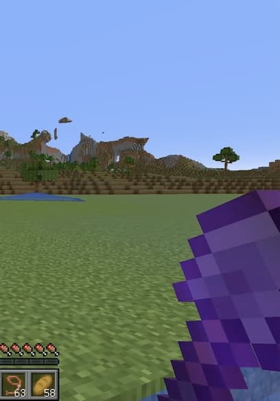S01:E14 - Noob vs. Pro: Zoo Build Challenge: Part 2! poster