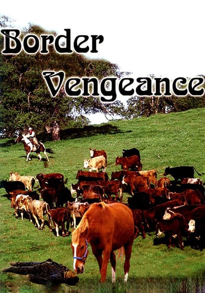 Border Vengeance