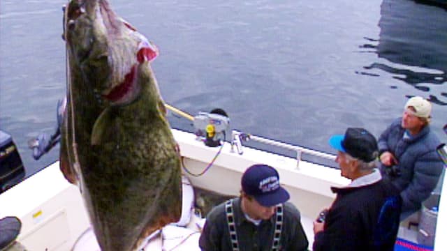 S01:E14 - Alaskan Trophy Fish: Sitka Alaska (Pt. 1)