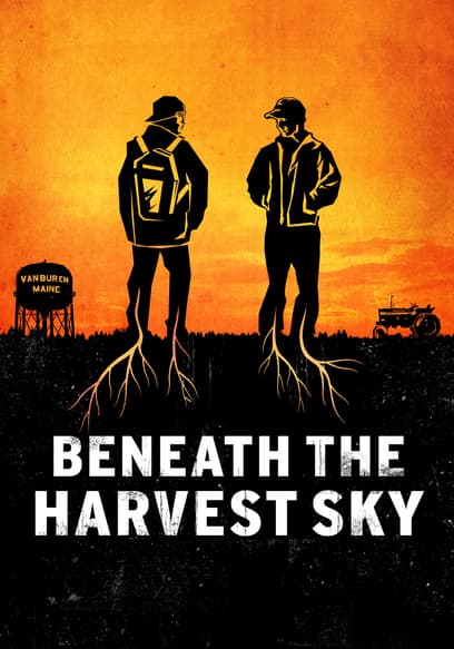 Beneath the Harvest Sky