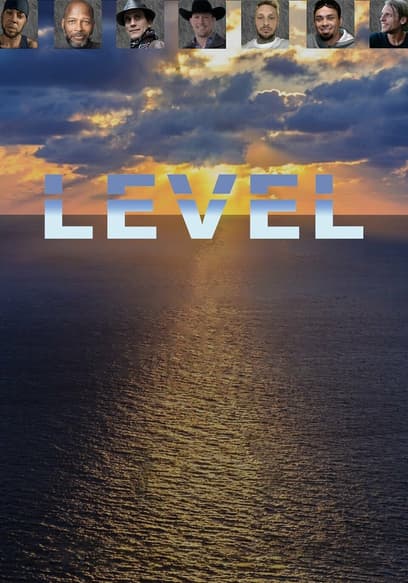 Level