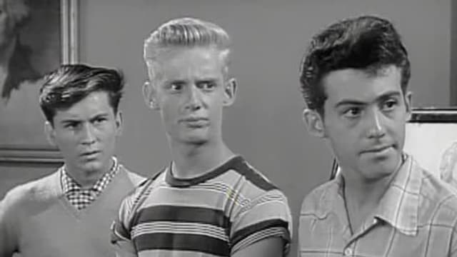 T02:C21 - S02:E21 - Bud, The Wallflower