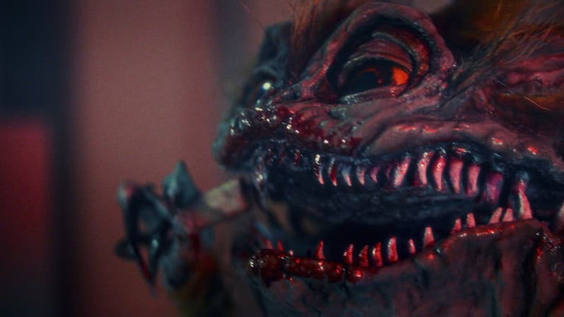 Watch Monster on a Plane (2024) - Free Movies | Tubi