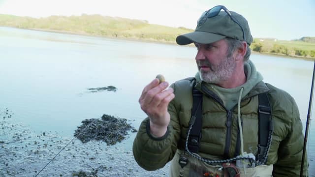 S01:E11 - Devon Coastal Forage