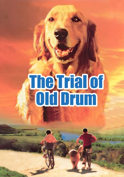 The Trial of Old Drum