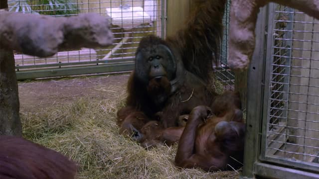 S01:E03 - Room Service