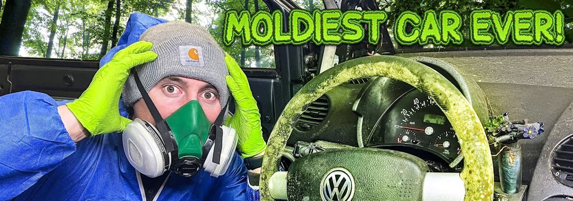 Watch WD Detailing S01:E07 - Deep Cleaning the Moldiest Beetle Ever ...