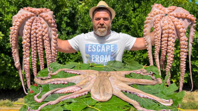 S01:E15 - Paradise Octopus Recipe