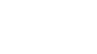 The Phoenix Incident