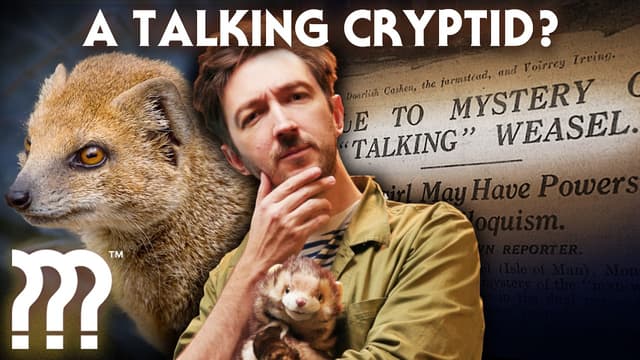 S03:E02 - The Freaky Case of Gef the Talking Mongoose