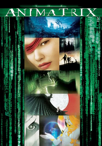 The Animatrix