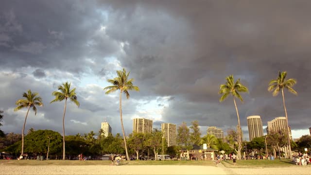 S03:E02 - Honolulu