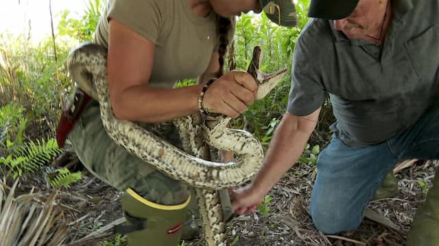 S03:E15 - Dark and Dangerous