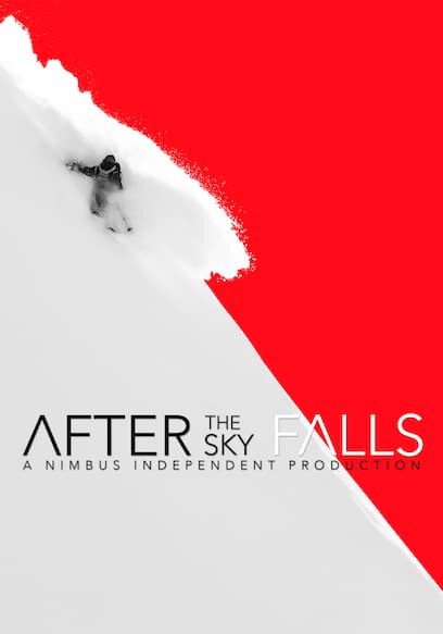 After the Sky Falls