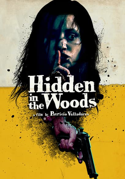 Hidden in the Woods poster