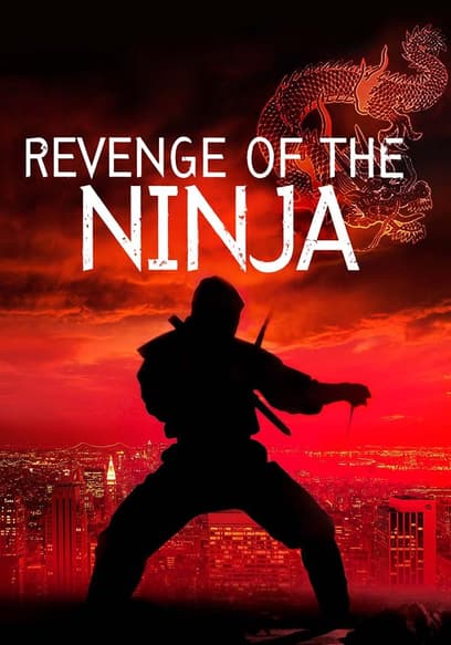 Revenge of the Ninja