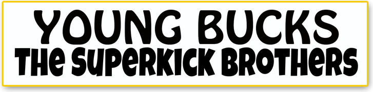 Young Bucks: The Superkick Brothers