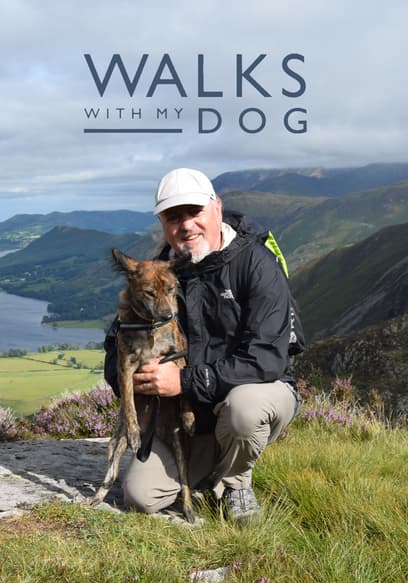 Walks With My Dog poster
