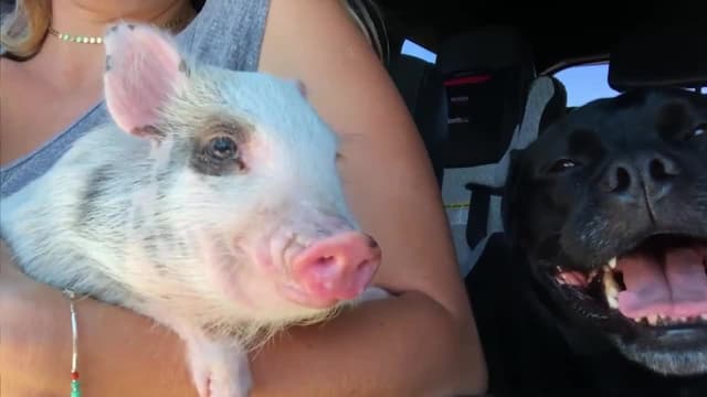 S01:E17 - Episode 17